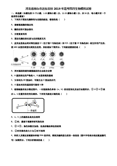 河北省邢台市达标名校2019年高考四月生物模拟试卷含解析