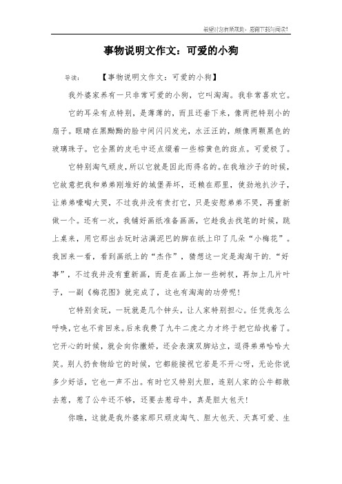事物说明文作文：可爱的小狗