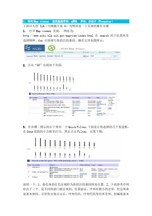 NCBI如何查找序列