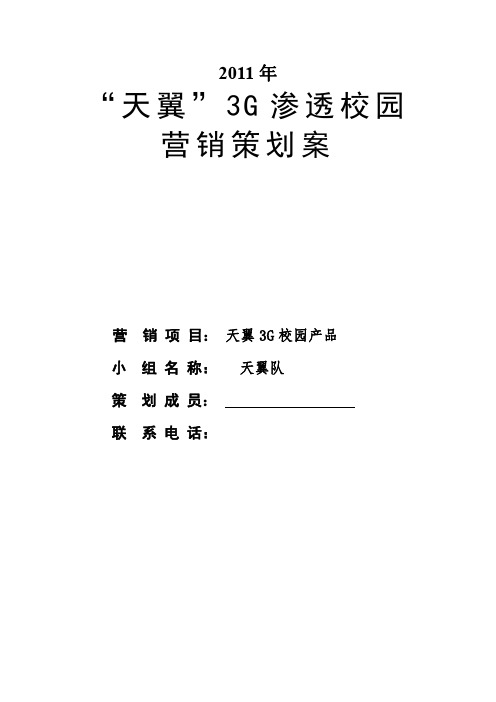 “天翼”3G渗透校园  营销策划案