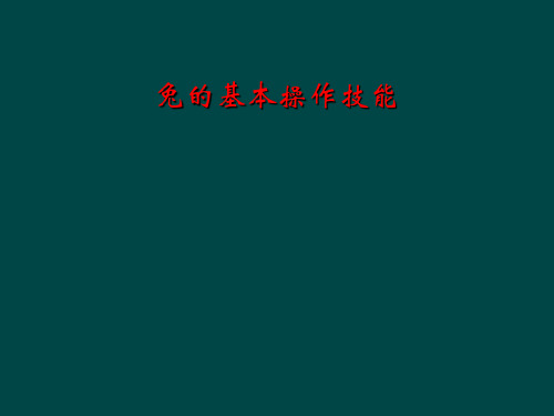 兔的基本操作技能