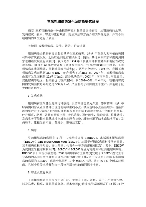 玉米粗缩病的发生及防治研究进展