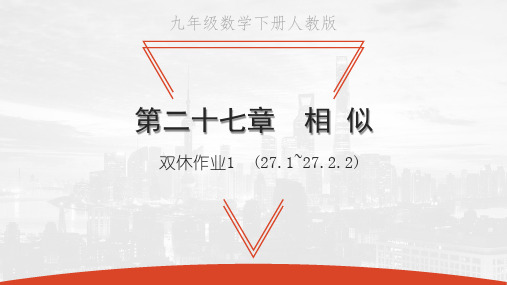 双休作业1-2021春人教版九年级数学下册习题课件