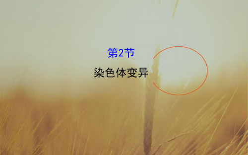 2018学年生物必修2课件：第5章 基因突变及其他变异 5.2 染色体变异1.课型