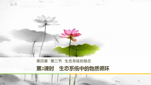 高中生物 第4章 光合作用和细胞呼 4.2.2 生态系统中的物质循环课件 苏教版必修1.pptx