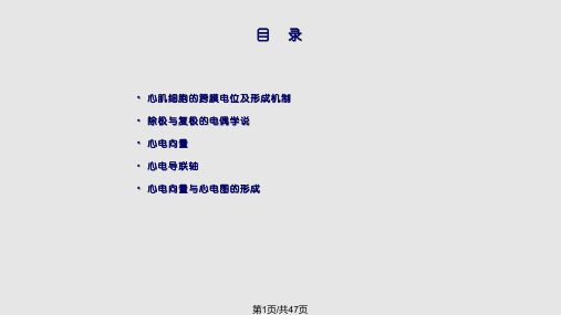 心电图形成原理PPT课件