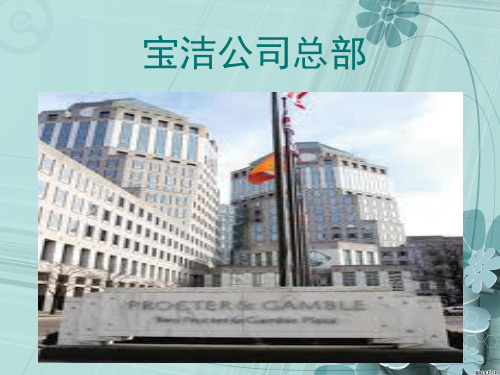 宝洁公司简介19页