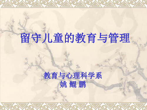 留守儿童教育与管理姚鲲鹏ppt课件