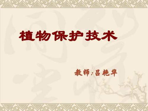 植物保护技术ppt课件