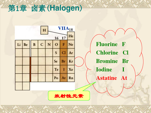 第一章 卤素 PPT课件