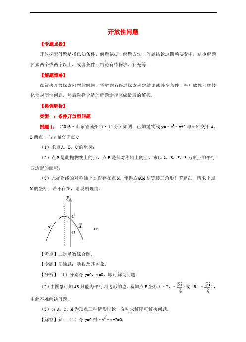 中考数学专题复习 开放性问题