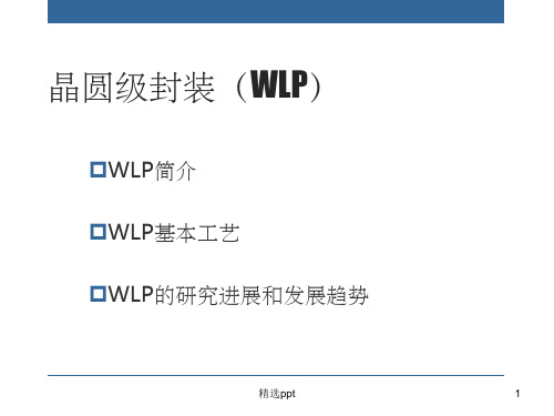 晶圆级封装ppt课件