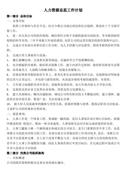 人力资源总监工作计划