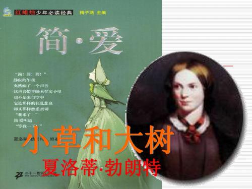 苏教版小学语文六年级上册《小草和大树》课件