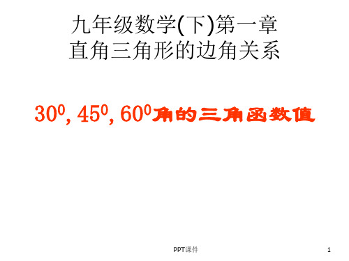 度,度,度角的三角函数值  ppt课件
