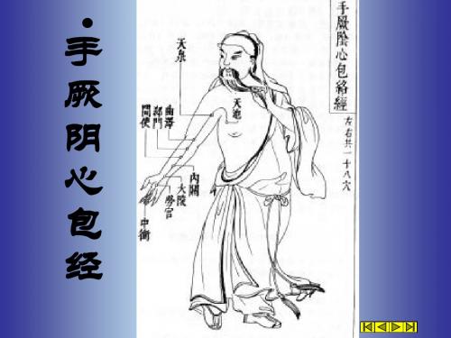 手厥阴心包经