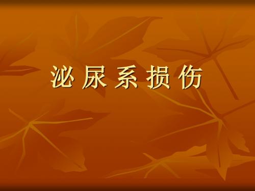 《泌尿系损伤》PPT课件