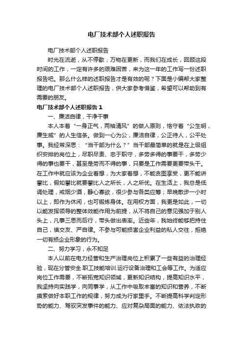 电厂技术部个人述职报告