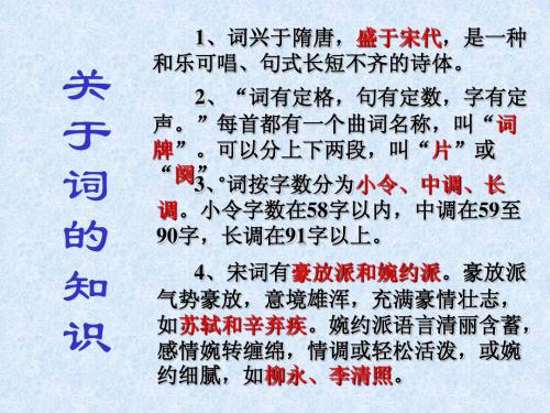 词的基础知识