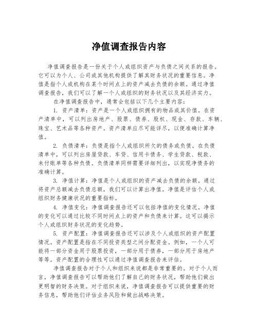 净值调查报告内容