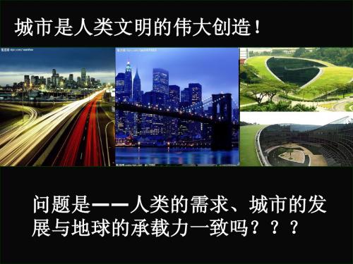 城市生态学 热岛效应 城市植被绿化