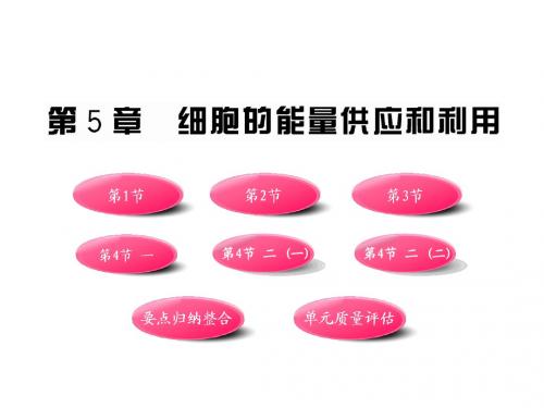 2011版高中生物全程学习方略课件：第5章 细胞的能量供应和利用(新人教版必修1)