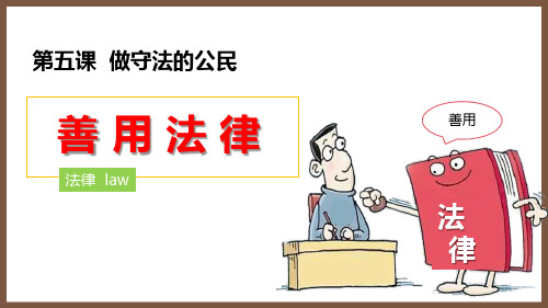 《善用法律》PPT优质课件