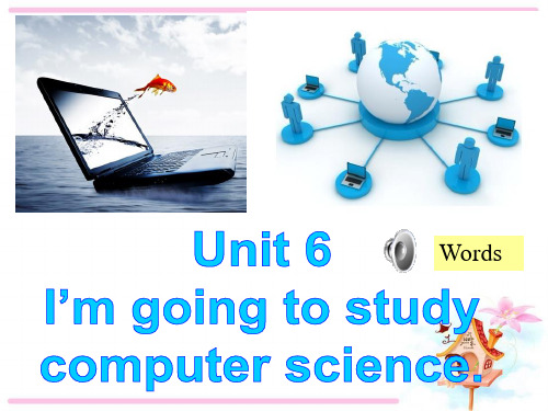 人教版新目标八年级上课件、教案Unit 6Section A 1