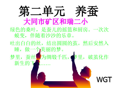 苏教版科四下《养蚕》ppt课件