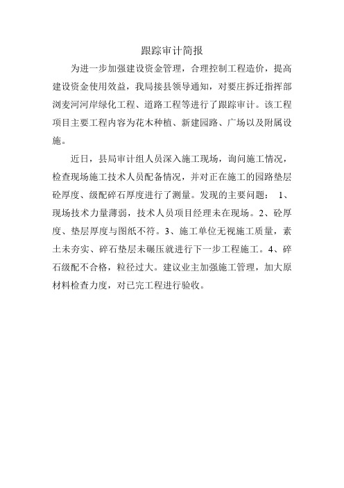 跟踪审计情况 简报