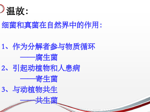 人教版八年级生物上第五单元第四章第五节人类对细菌和真菌的利用教学课件 (共42张PPT)