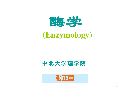 酶学概论zgPPT课件