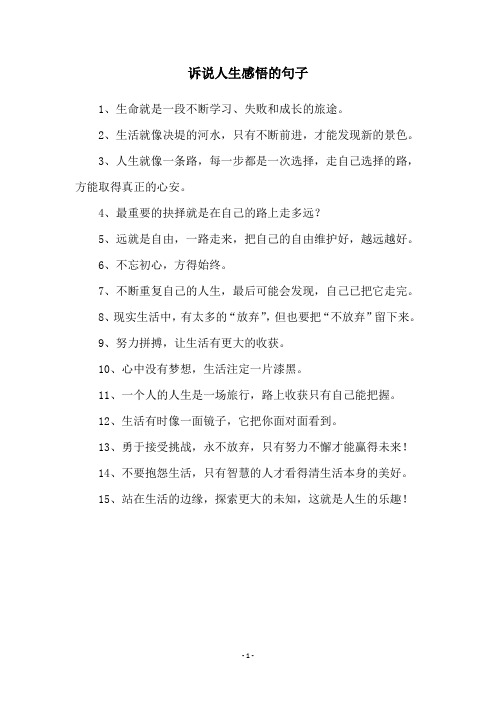 诉说人生感悟的句子