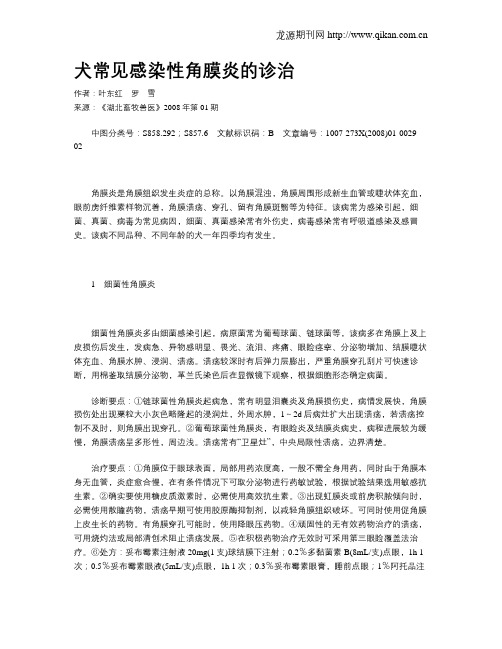 犬常见感染性角膜炎的诊治