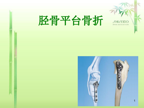 胫骨平台骨折ppt参考课件