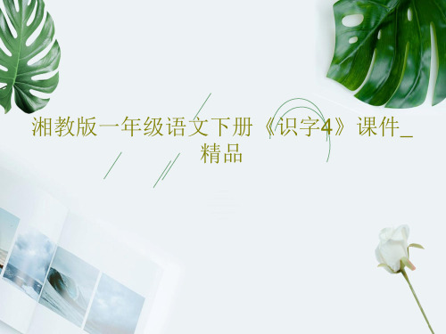 湘教版一年级语文下册《识字4》课件_精品共15页文档