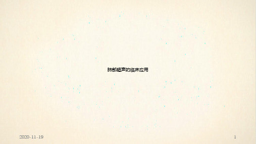 ICU肺部超声基础(最新课件)