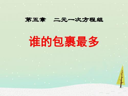 《谁的包裹多》二元一次方程组PPT课件