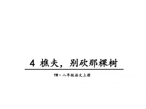 樵夫,别砍那棵树ppt