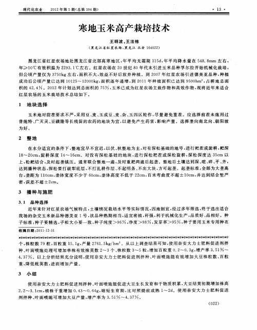 寒地玉米高产栽培技术