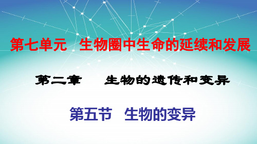 第五节《生物的变异》