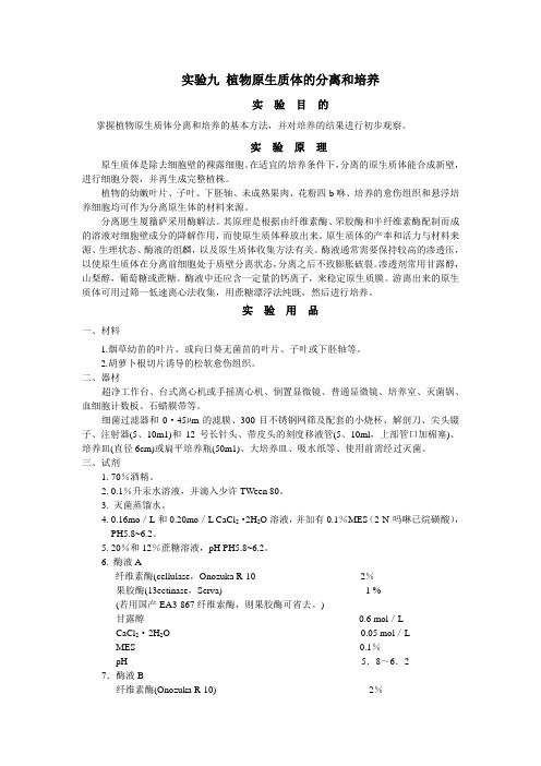 实验九 植物原生质体的分离和培养