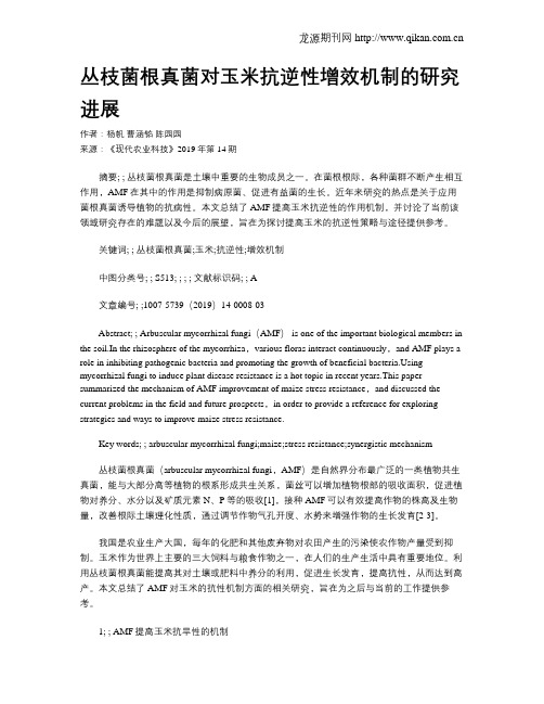 丛枝菌根真菌对玉米抗逆性增效机制的研究进展