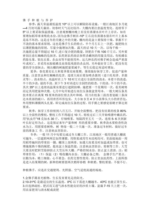 佛 手 种 植 与 养 护