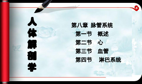 人体解剖学-第二版第8章-脉管系统