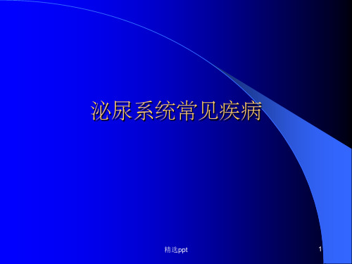 泌尿系统常见疾病