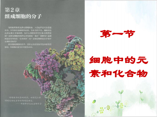 细胞中的元素和化合物(27张)-PPT优秀课件