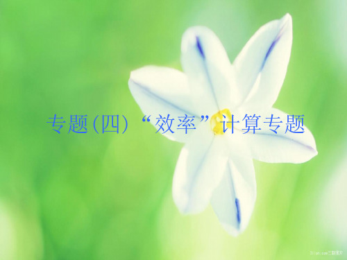 中考物理题型训练四“效率”计算课件   