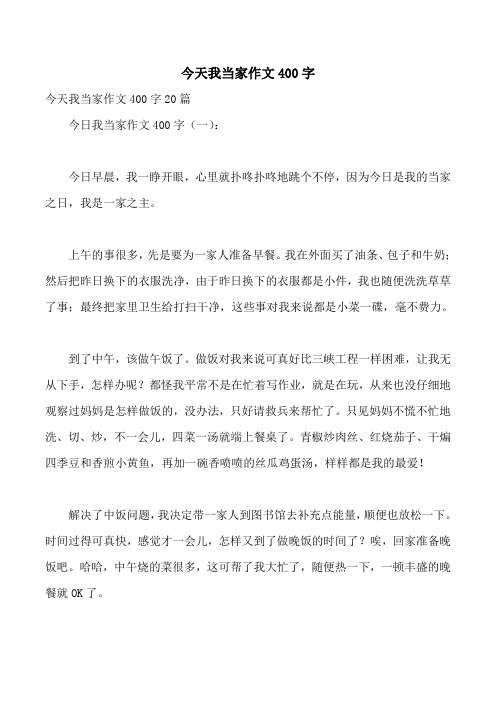 今天我当家作文400字