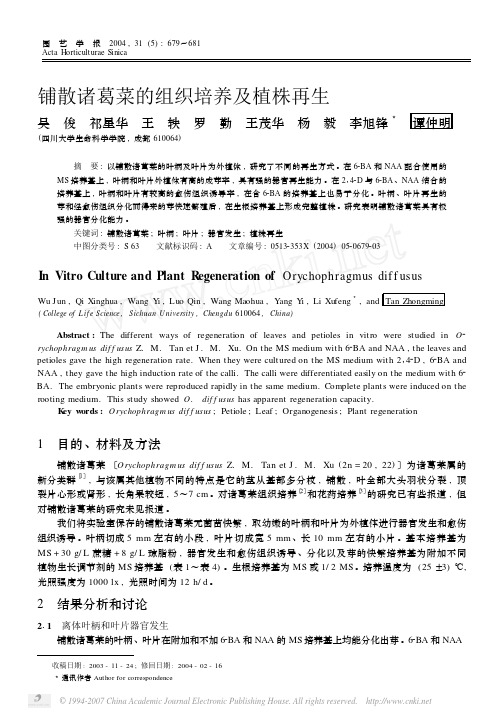 2005铺散诸葛菜的组织培养及植株再生